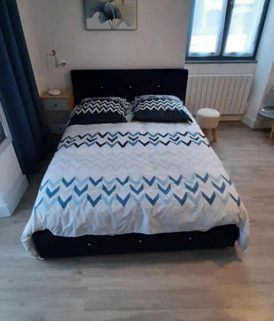 Apartment Charmant Studio Renove Avec Balcon Aix-les-Bains France